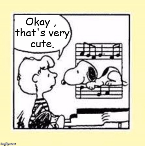 Schroeder & Snoopy | Okay , that's very cute. | image tagged in vince vance,peanuts,music notes,piano,memes,cartoons | made w/ Imgflip meme maker