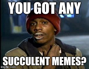 Y'all Got Any More Of That Meme | YOU GOT ANY; SUCCULENT MEMES? | image tagged in memes,yall got any more of | made w/ Imgflip meme maker