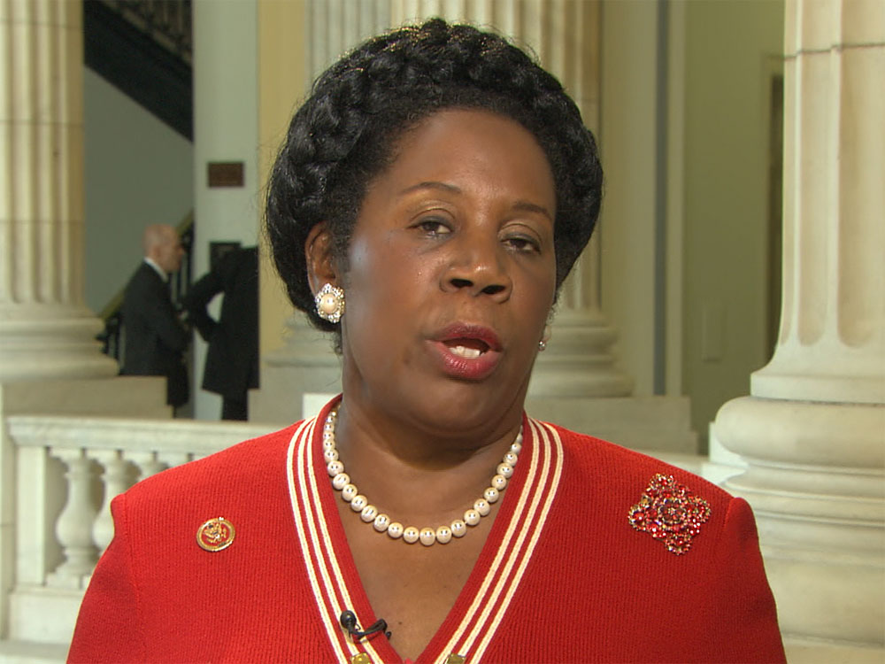 Sheila Jackson Lee Blank Meme Template