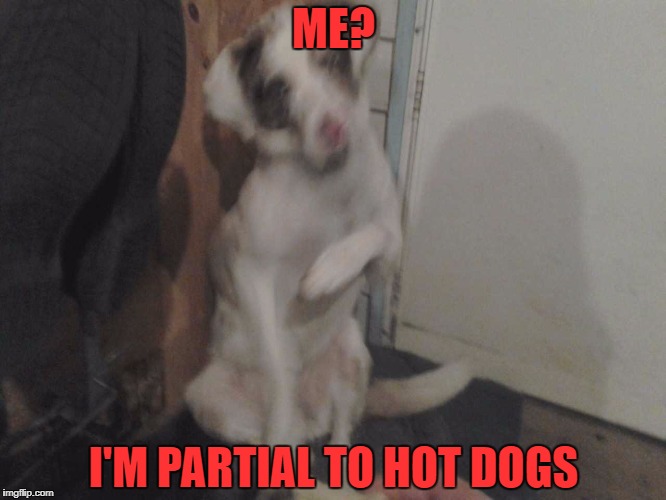 Hamburger or hot doggie? | ME? I'M PARTIAL TO HOT DOGS | image tagged in hot dog,hamburger | made w/ Imgflip meme maker