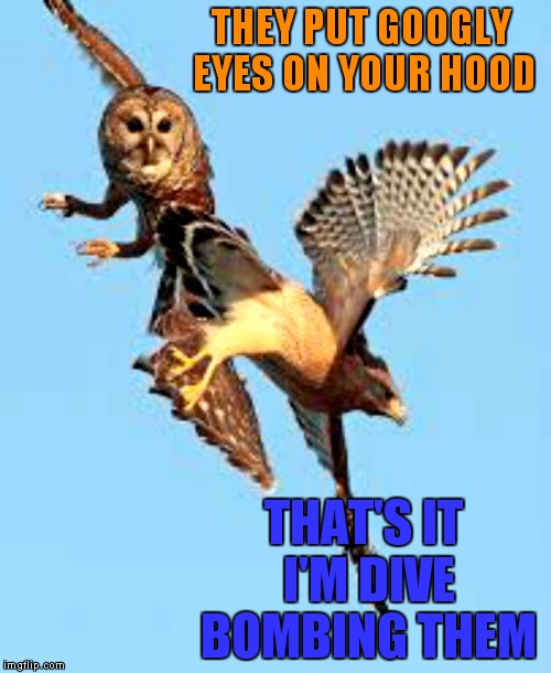 THEY PUT GOOGLY EYES ON YOUR HOOD THAT'S IT I'M DIVE BOMBING THEM | made w/ Imgflip meme maker