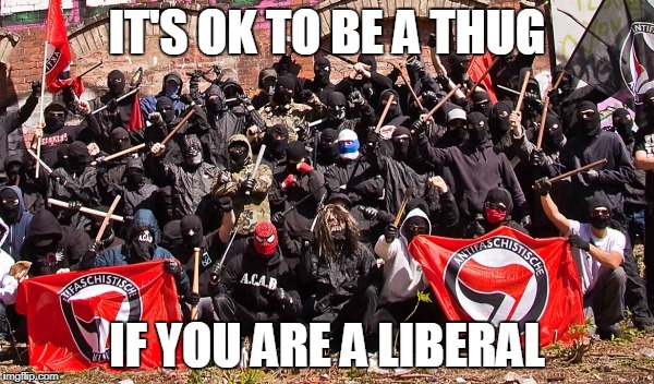 I THINK THE MAO'S RED GUARD STARTED OUT LIKE THIS | IT'S OK TO BE A THUG; IF YOU ARE A LIBERAL | image tagged in antifa,thug life,liberal logic,riots,patriotism | made w/ Imgflip meme maker