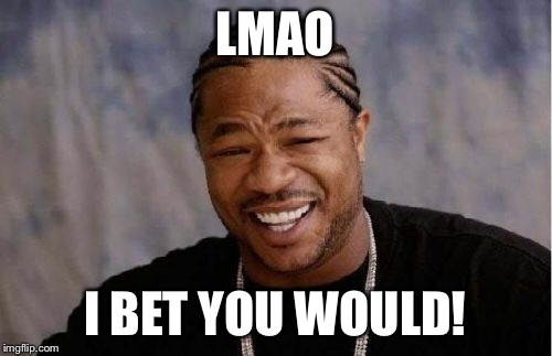 Yo Dawg Heard You Meme | LMAO I BET YOU WOULD! | image tagged in memes,yo dawg heard you | made w/ Imgflip meme maker