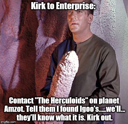 Igoo the Herculoid | Kirk to Enterprise:; Contact "The Herculoids" on planet Amzot. Tell them I found Igoo's.....we'll... they'll know what it is. Kirk out. | image tagged in cartoons,star trek | made w/ Imgflip meme maker