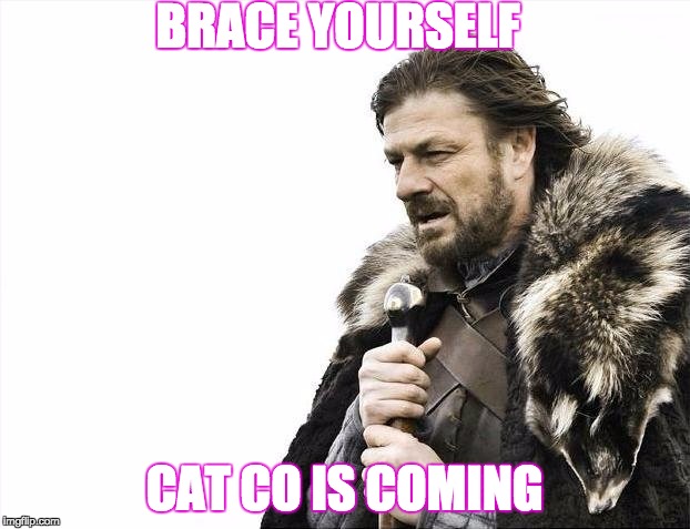 Brace Yourselves X is Coming Meme | BRACE YOURSELF; CAT CO IS COMING | image tagged in memes,brace yourselves x is coming | made w/ Imgflip meme maker