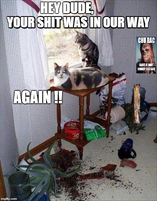 Put that shit up here again and its going thru the window dude. | YOUR SHIT WAS IN OUR WAY; HEY DUDE, AGAIN !! | image tagged in meme,mean,cats,funny,man,mess | made w/ Imgflip meme maker