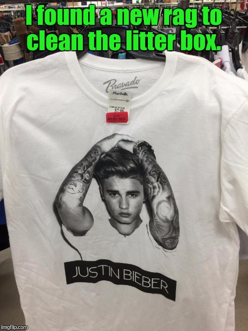 Almost half off. I guess it wasn't selling very well.  |  I found a new rag to clean the litter box. | image tagged in funny,justin bieber,t-shirt,cleaning,litter box | made w/ Imgflip meme maker