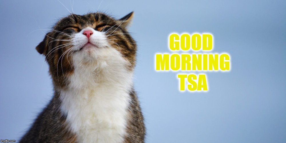 GOOD MORNING TSA | made w/ Imgflip meme maker