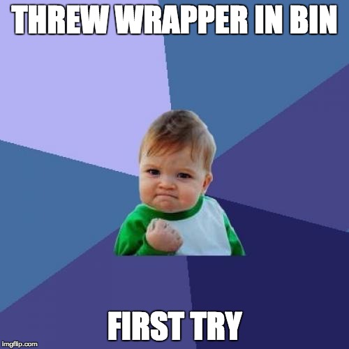 Success Kid Meme | THREW WRAPPER IN BIN; FIRST TRY | image tagged in memes,success kid | made w/ Imgflip meme maker