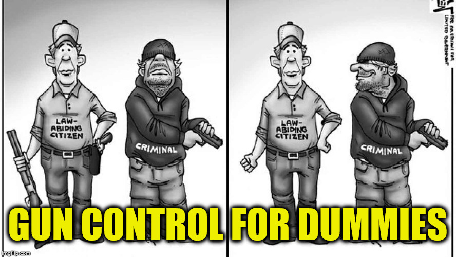 It's just common sense | GUN CONTROL FOR DUMMIES | image tagged in gun control | made w/ Imgflip meme maker