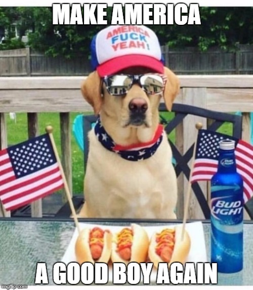 Who's a good boy...You're a good boy... | MAKE AMERICA; A GOOD BOY AGAIN | image tagged in memes,make america great again,donald trump approves,freedom in murica,who's a good boy | made w/ Imgflip meme maker