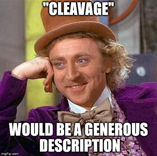 Creepy Condescending Wonka Meme | "CLEAVAGE" WOULD BE A GENEROUS DESCRIPTION | image tagged in memes,creepy condescending wonka | made w/ Imgflip meme maker