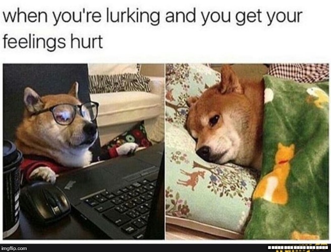  ................... | image tagged in doge,lurking,computer,sad | made w/ Imgflip meme maker