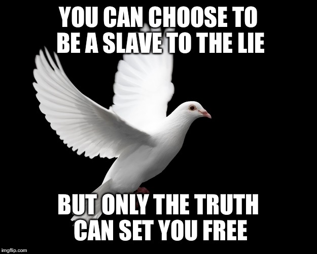DOVE PIGEON LOVE PEACE HAPPINESS |  YOU CAN CHOOSE TO BE A SLAVE TO THE LIE; BUT ONLY THE TRUTH CAN SET YOU FREE | image tagged in dove pigeon love peace happiness | made w/ Imgflip meme maker