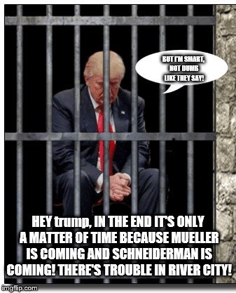 it's only a matter of time, Mueller AND Schneiderman Are Coming! | BUT I'M SMART, NOT DUMB LIKE THEY SAY! HEY trump, IN THE END IT'S ONLY A MATTER OF TIME BECAUSE MUELLER IS COMING AND SCHNEIDERMAN IS COMING! THERE'S TROUBLE IN RIVER CITY! | image tagged in mueller is coming,schneiderman is coming,trump will be impeached,a matter of time,donald trump is an idiot,trump is slime | made w/ Imgflip meme maker