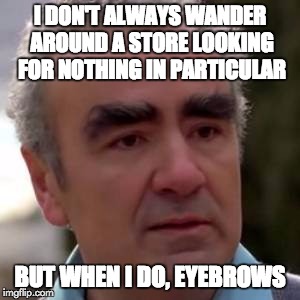 "Not really looking to buy anything. Just wasting time." | I DON'T ALWAYS WANDER AROUND A STORE LOOKING FOR NOTHING IN PARTICULAR; BUT WHEN I DO, EYEBROWS | image tagged in eyebrows,puns,window shopping | made w/ Imgflip meme maker