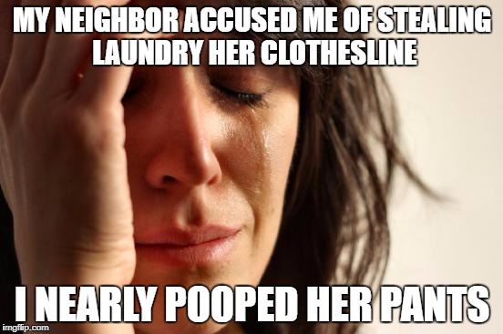 First World Problems Meme | MY NEIGHBOR ACCUSED ME OF STEALING LAUNDRY HER CLOTHESLINE; I NEARLY POOPED HER PANTS | image tagged in memes,first world problems | made w/ Imgflip meme maker