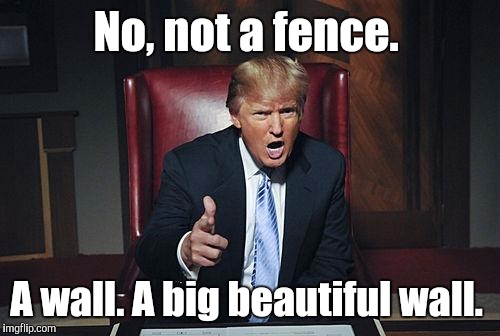 No, not a fence. A wall. A big beautiful wall. | made w/ Imgflip meme maker