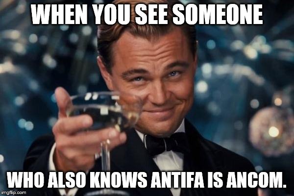 Leonardo Dicaprio Cheers Meme | WHEN YOU SEE SOMEONE WHO ALSO KNOWS ANTIFA IS ANCOM. | image tagged in memes,leonardo dicaprio cheers | made w/ Imgflip meme maker
