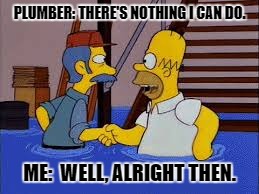 My Life | PLUMBER: THERE'S NOTHING I CAN DO. ME:  WELL, ALRIGHT THEN. | image tagged in simpsons | made w/ Imgflip meme maker