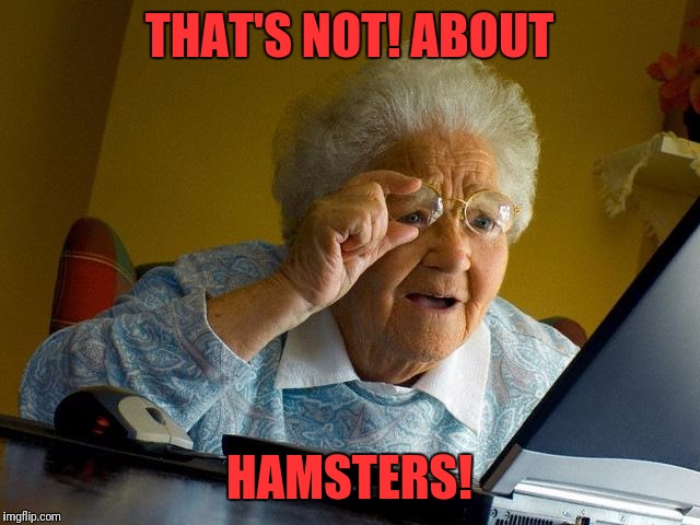 Grandma Finds The Internet Meme | THAT'S NOT! ABOUT; HAMSTERS! | image tagged in memes,grandma finds the internet | made w/ Imgflip meme maker