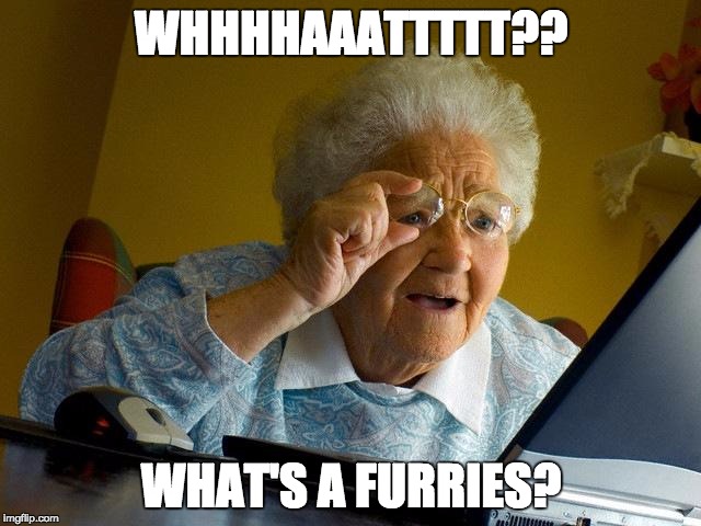 Grandma Finds The Internet | WHHHHAAATTTTT?? WHAT'S A FURRIES? | image tagged in memes,grandma finds the internet | made w/ Imgflip meme maker