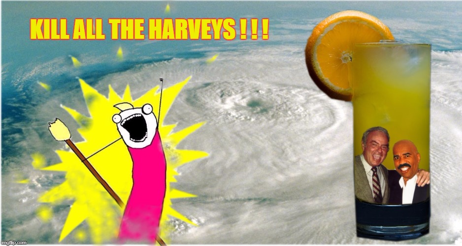 Kill "Hurricane Steve Harvey Korman Wallbanger..." | KILL ALL THE HARVEYS ! ! ! | image tagged in meme,humor,just a joke,nothing but love for all of texas,no disrespect intended,peace | made w/ Imgflip meme maker