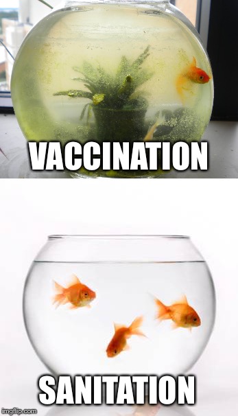 We Can Either Treat the Fishbowl or Simply Clean It | VACCINATION; SANITATION | image tagged in vaccination,sanitation,fishbowl | made w/ Imgflip meme maker