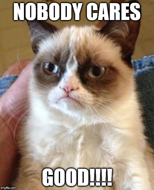 Grumpy Cat | NOBODY CARES; GOOD!!!! | image tagged in memes,grumpy cat | made w/ Imgflip meme maker