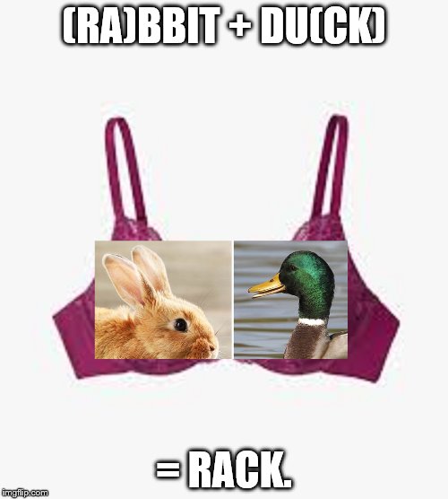 Rabbit and Duck in bra | (RA)BBIT + DU(CK); = RACK. | image tagged in rabbit,duck,bra | made w/ Imgflip meme maker