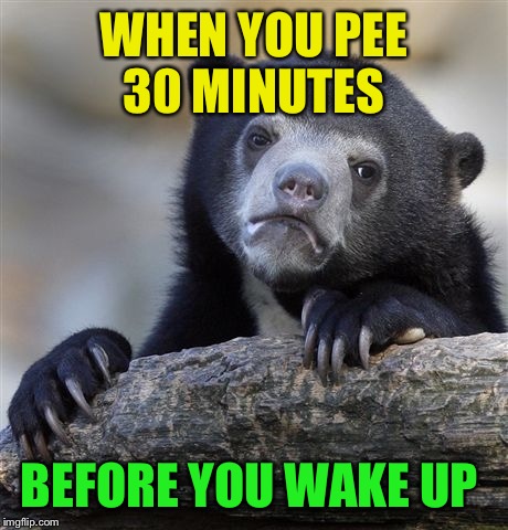 Confession Bear Meme | WHEN YOU PEE 30 MINUTES BEFORE YOU WAKE UP | image tagged in memes,confession bear | made w/ Imgflip meme maker