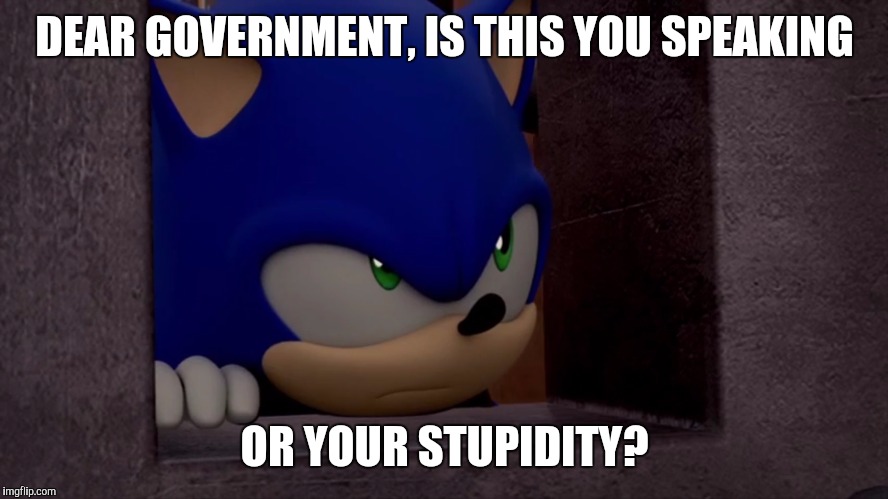 Sonic is Not Impressed - Sonic Boom | DEAR GOVERNMENT, IS THIS YOU SPEAKING; OR YOUR STUPIDITY? | image tagged in sonic is not impressed - sonic boom | made w/ Imgflip meme maker