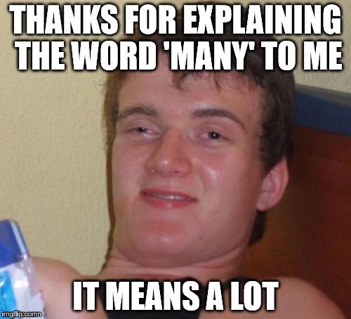 many thanks | THANKS FOR EXPLAINING THE WORD 'MANY' TO ME; IT MEANS A LOT | image tagged in memes | made w/ Imgflip meme maker