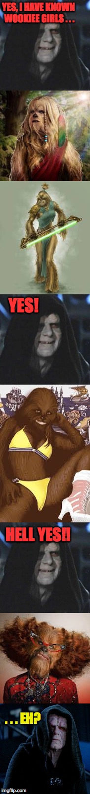 It's more than green Orion girls out there, y'know... | YES, I HAVE KNOWN WOOKIEE GIRLS . . . YES! HELL YES!! . . . EH? | image tagged in memes,star wars,star wars hell no,sith lord,wookiee,funny | made w/ Imgflip meme maker