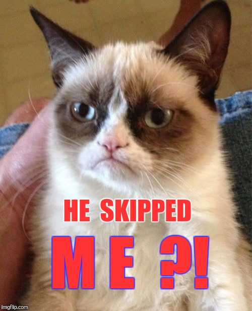 Grumpy Cat Meme | HE  SKIPPED M E  ?! | image tagged in memes,grumpy cat | made w/ Imgflip meme maker