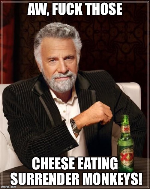 The Most Interesting Man In The World Meme | AW, F**K THOSE CHEESE EATING SURRENDER MONKEYS! | image tagged in memes,the most interesting man in the world | made w/ Imgflip meme maker