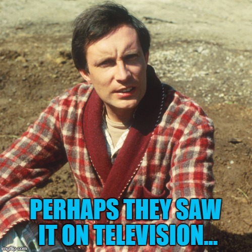 PERHAPS THEY SAW IT ON TELEVISION... | made w/ Imgflip meme maker