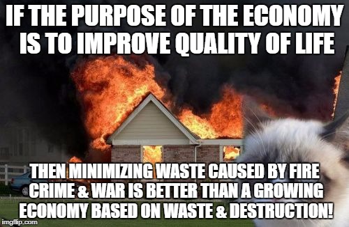 Burn Kitty | IF THE PURPOSE OF THE ECONOMY IS TO IMPROVE QUALITY OF LIFE; THEN MINIMIZING WASTE CAUSED BY FIRE CRIME & WAR IS BETTER THAN A GROWING ECONOMY BASED ON WASTE & DESTRUCTION! | image tagged in memes,burn kitty,grumpy cat | made w/ Imgflip meme maker