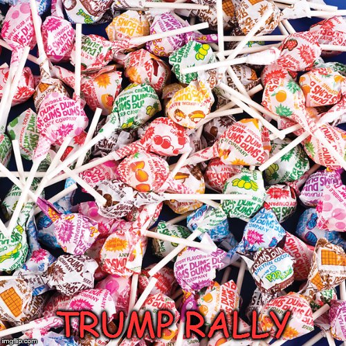 TRUMP RALLY | image tagged in rally | made w/ Imgflip meme maker