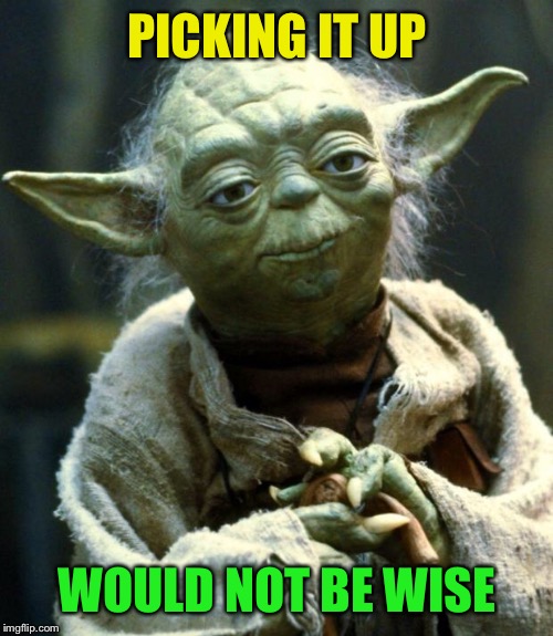Star Wars Yoda Meme | PICKING IT UP WOULD NOT BE WISE | image tagged in memes,star wars yoda | made w/ Imgflip meme maker