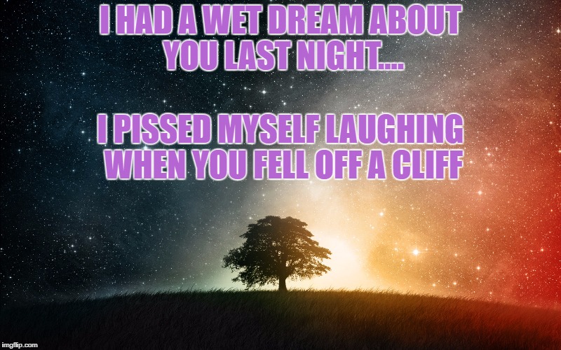 I HAD A WET DREAM ABOUT YOU LAST NIGHT.... I PISSED MYSELF LAUGHING WHEN YOU FELL OFF A CLIFF | image tagged in dream,wet dream,funny,memes,funny memes,sleeping | made w/ Imgflip meme maker