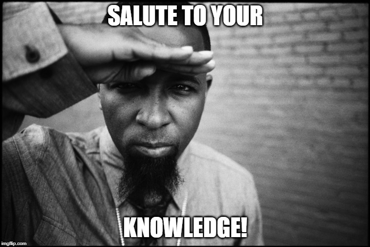 Salute! | SALUTE TO YOUR; KNOWLEDGE! | image tagged in memes,salute,knowledge,tech,n9ne | made w/ Imgflip meme maker