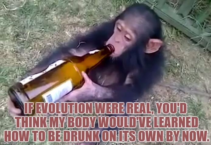 Monkey on booze | IF EVOLUTION WERE REAL, YOU'D THINK MY BODY WOULD'VE LEARNED HOW TO BE DRUNK ON ITS OWN BY NOW. | image tagged in evolution,church,memes,funny,funny memes,hysterical | made w/ Imgflip meme maker