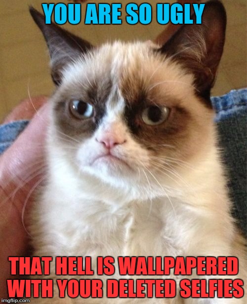 Grumpy Cat Meme | YOU ARE SO UGLY; THAT HELL IS WALLPAPERED WITH YOUR DELETED SELFIES | image tagged in memes,grumpy cat,funny | made w/ Imgflip meme maker