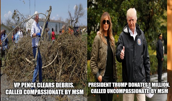 take back our country | VP PENCE CLEARS DEBRIS. CALLED COMPASSIONATE BY MSM; PRESIDENT TRUMP DONATES 1 MILLION. CALLED UNCOMPASSIONATE  BY MSM | image tagged in msm lies,maga | made w/ Imgflip meme maker