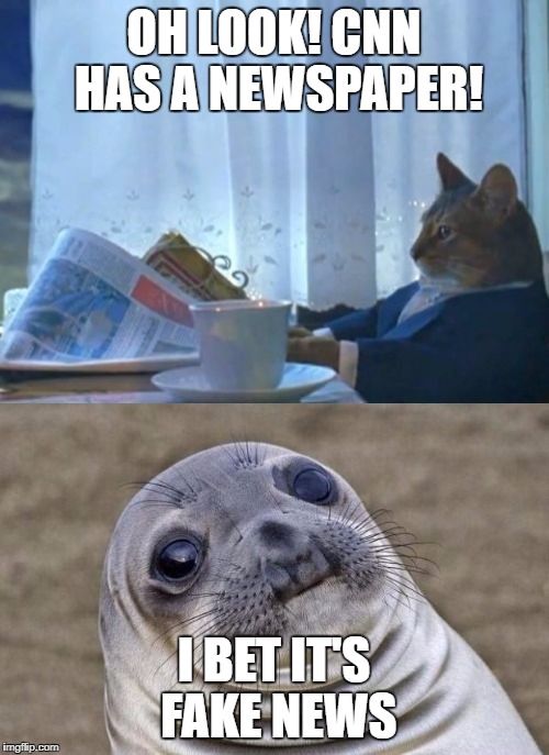 OH LOOK! CNN HAS A NEWSPAPER! I BET IT'S FAKE NEWS | image tagged in i should buy a boat cat,awkward moment sealion | made w/ Imgflip meme maker