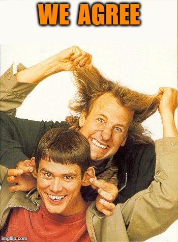 DUMB and dumber | WE  AGREE | image tagged in dumb and dumber | made w/ Imgflip meme maker