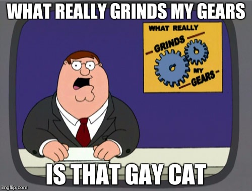 Peter Griffin News Meme | WHAT REALLY GRINDS MY GEARS; IS THAT GAY CAT | image tagged in memes,peter griffin news | made w/ Imgflip meme maker