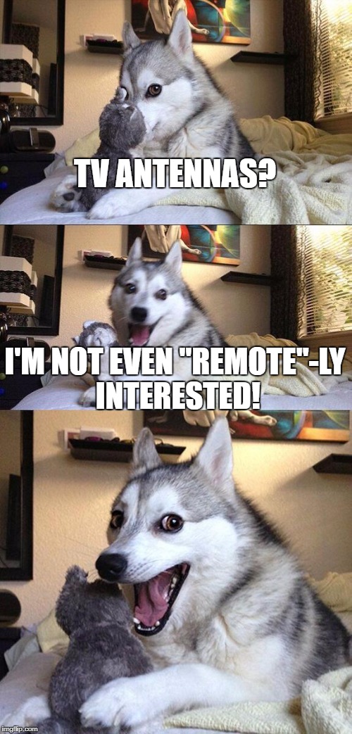 Bad Pun Dog Meme | TV ANTENNAS? I'M NOT EVEN "REMOTE"-LY INTERESTED! | image tagged in memes,bad pun dog | made w/ Imgflip meme maker