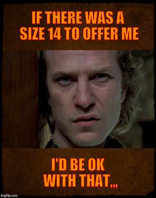 Buffalo Bill, Are you serious?,,, | IF THERE WAS A SIZE 14 TO OFFER ME I'D BE OK  WITH THAT,,, | image tagged in buffalo bill are you serious?   | made w/ Imgflip meme maker